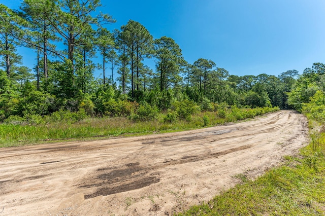 5.38ACRES Watson Rd, Freeport, FL 32439 - photo 16