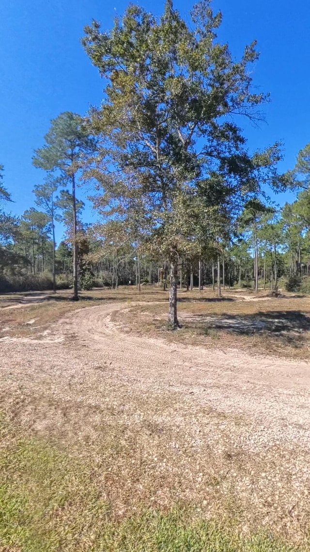 1148 N Planters Dr, Laurel Hill, FL 32567