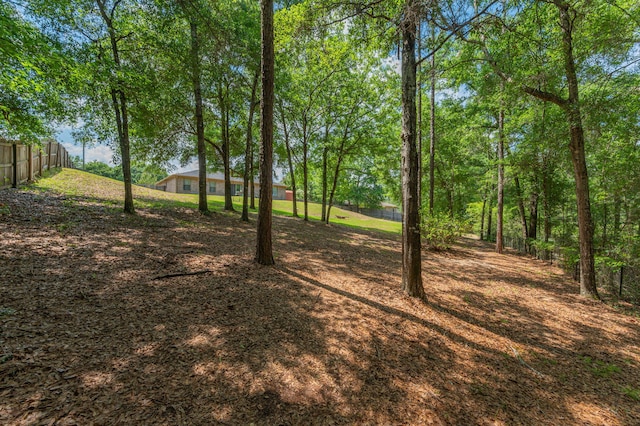 6229 Flash Ln, Crestview, FL 32536 - view of yard