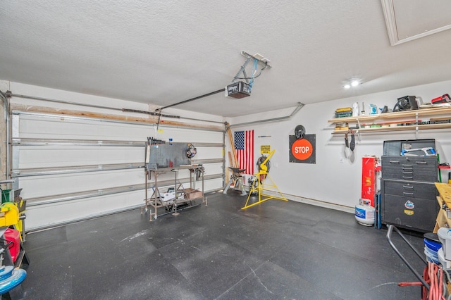 6229 Flash Ln, Crestview, FL 32536 - garage featuring a garage door opener