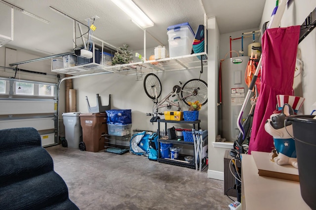 2065 Wilsons Plover Cir, Navarre, FL 32566 - garage with electric water heater and a garage door opener