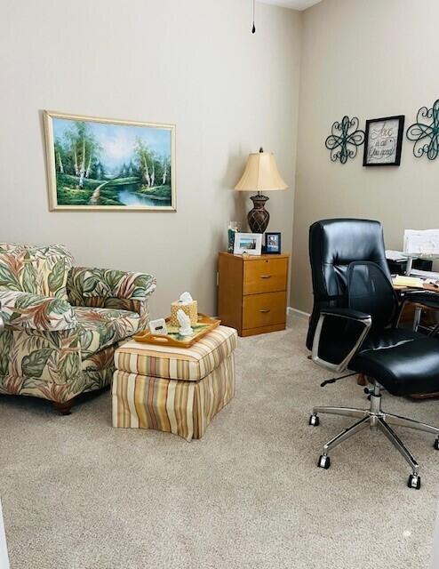115 Lilly Bell Ln, Freeport, FL 32439 - view of carpeted home office