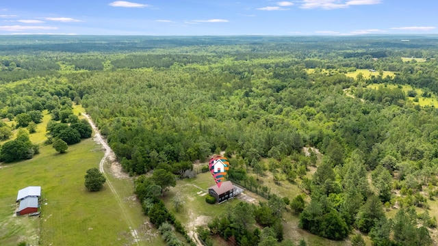 318 Oakridge Cemetery Rd, Defuniak Springs, FL 32435 - photo 11