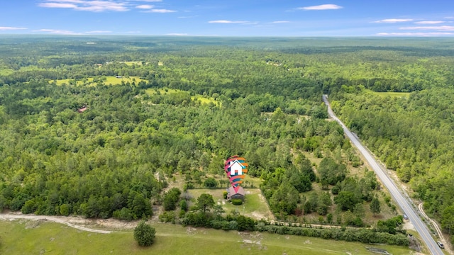 318 Oakridge Cemetery Rd, Defuniak Springs, FL 32435 - photo 18