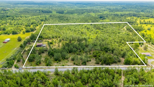 318 Oakridge Cemetery Rd, Defuniak Springs, FL 32435 - photo 14