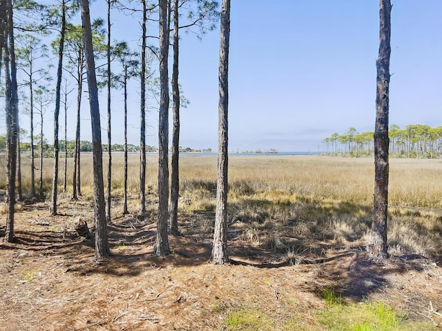 8966 Heron Walk Dr # 8966, Miramar Beach, FL 32550 - view of nature featuring rural landscape
