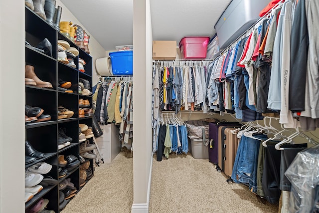 5416 Mill Brook Ln, Crestview, FL 32539 - spacious closet with carpet