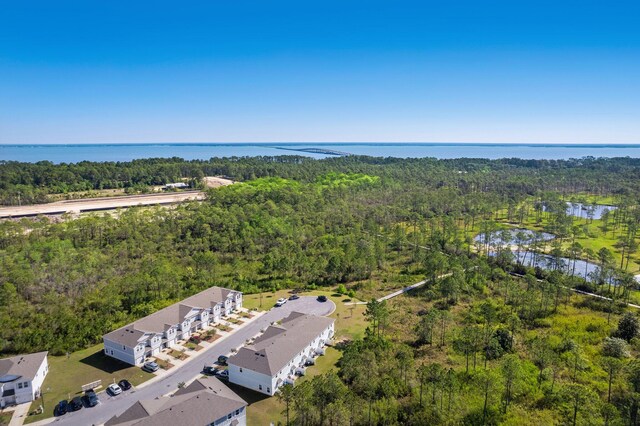 64 Crossing Ln Unit E, Santa Rosa Beach, FL 32459 - bird's eye view of a heavily wooded area and a large body of water