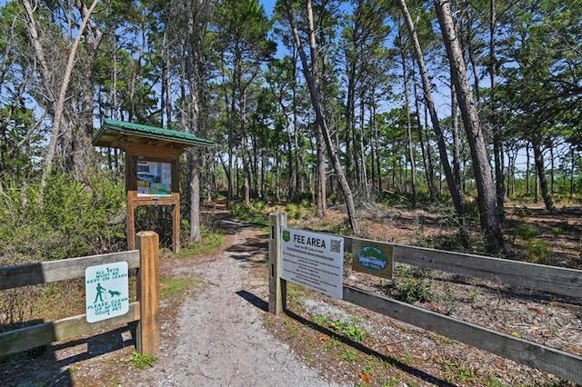 40 Flounder St, Santa Rosa Beach, FL 32459 - view of dirt / gravel driveway