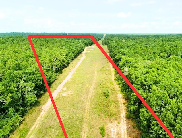 7.97ACRES Lake Ella Rd, Crestview, FL 32539