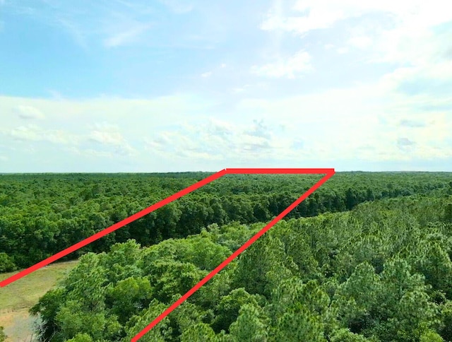 7.97ACRES Lake Ella Rd, Crestview, FL 32539