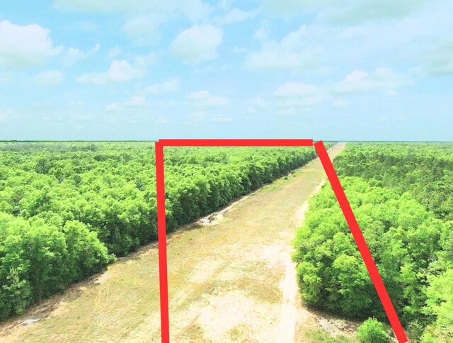 7.97ACRES Lake Ella Rd, Crestview, FL 32539