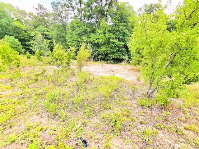 7.97ACRES Lake Ella Rd, Crestview, FL 32539