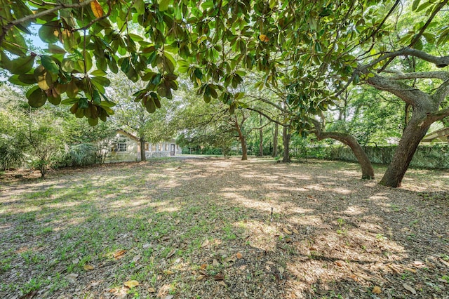 814 Tuxedo Dr, Fort Walton Beach, FL 32547 - view of yard
