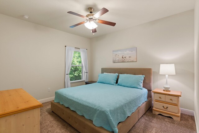 375 Cox Rd, Santa Rosa Beach, FL 32459 - photo 29