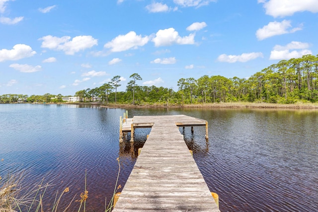84 Old Miller Pl, Santa Rosa Beach, FL 32459 - dock featuring a water view