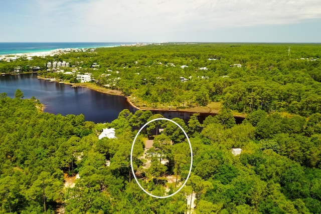 84 Old Miller Pl, Santa Rosa Beach, FL 32459 - bird's eye view of a large body of water