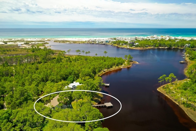 84 Old Miller Pl, Santa Rosa Beach, FL 32459 - bird's eye view of a large body of water