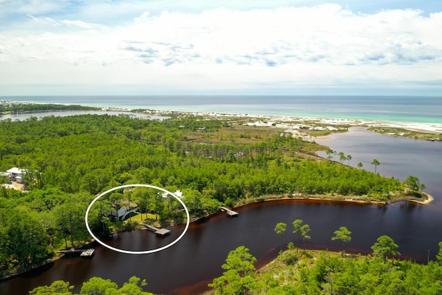 84 Old Miller Pl, Santa Rosa Beach, FL 32459 - drone / aerial view of a large body of water and a heavily wooded area