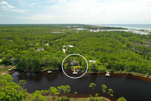 84 Old Miller Pl, Santa Rosa Beach, FL 32459 - drone / aerial view of a forest and a large body of water