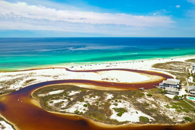 84 Old Miller Pl, Santa Rosa Beach, FL 32459 - bird's eye view of unending shoreline