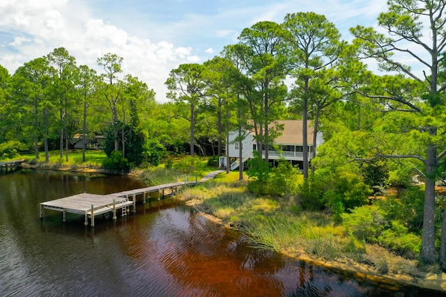 84 Old Miller Pl, Santa Rosa Beach, FL 32459 - dock with a water view