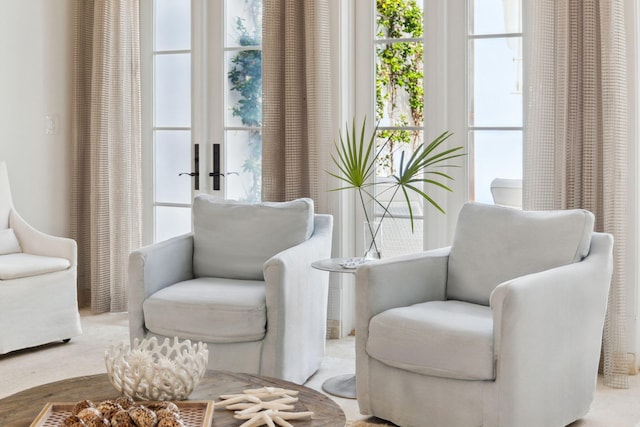 132 N Somerset St, Alys Beach, FL 32461 - living area with french doors