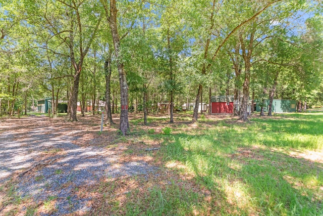 1184 Blackberry Cir, Baker, FL 32531 - view of yard