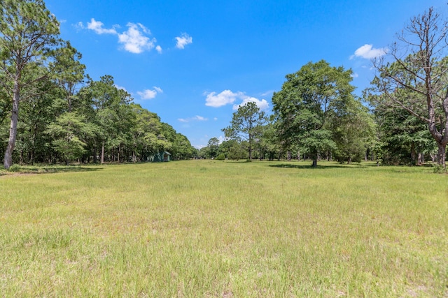 1184 Blackberry Cir, Baker, FL 32531 - view of yard featuring a wooded view