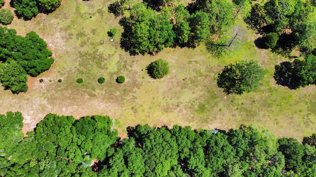 1184 Blackberry Cir, Baker, FL 32531 - aerial view