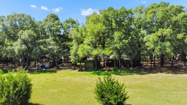 1184 Blackberry Cir, Baker, FL 32531 - view of green lawn with view of wooded area