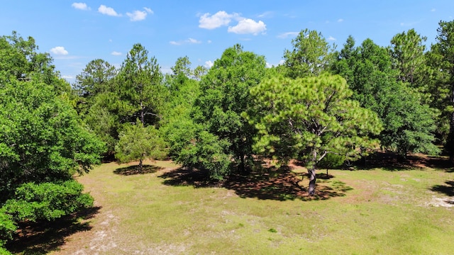 1184 Blackberry Cir, Baker, FL 32531 - view of green lawn