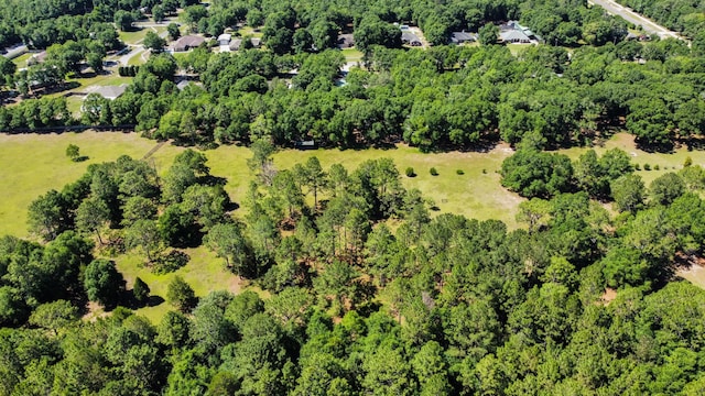 1184 Blackberry Cir, Baker, FL 32531 - aerial overview of property's location