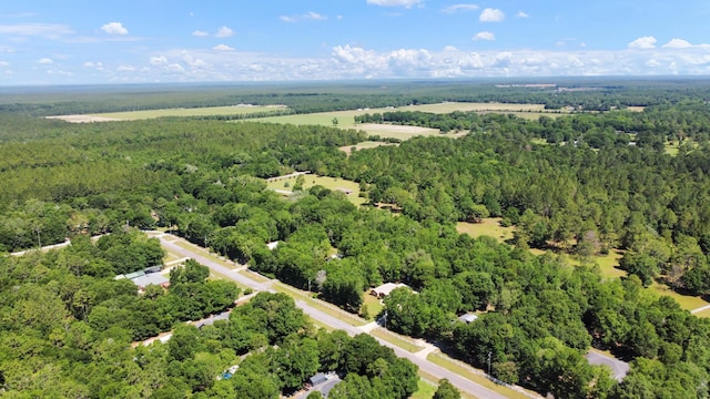 1184 Blackberry Cir, Baker, FL 32531 - aerial overview of property's location featuring a forest