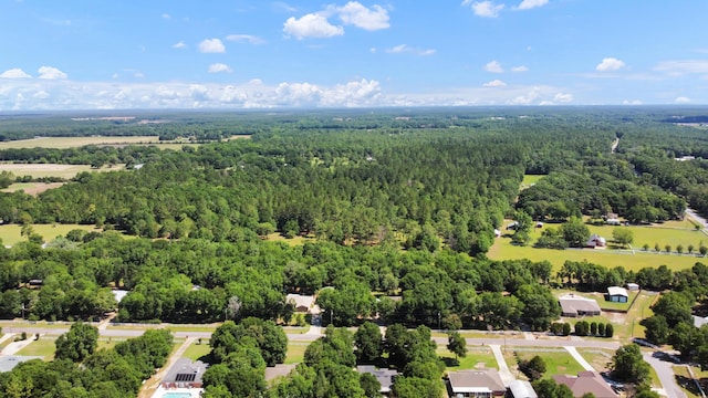 1184 Blackberry Cir, Baker, FL 32531 - aerial view of a forest