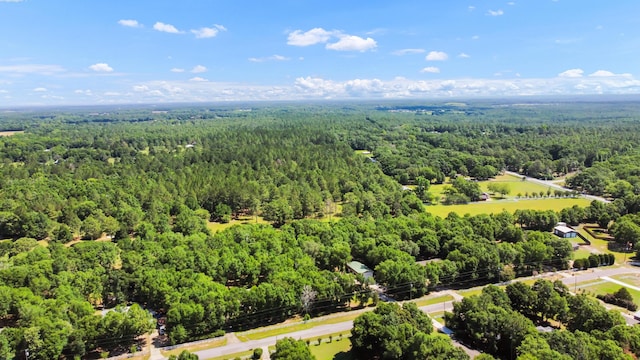 1184 Blackberry Cir, Baker, FL 32531 - drone / aerial view of a forest
