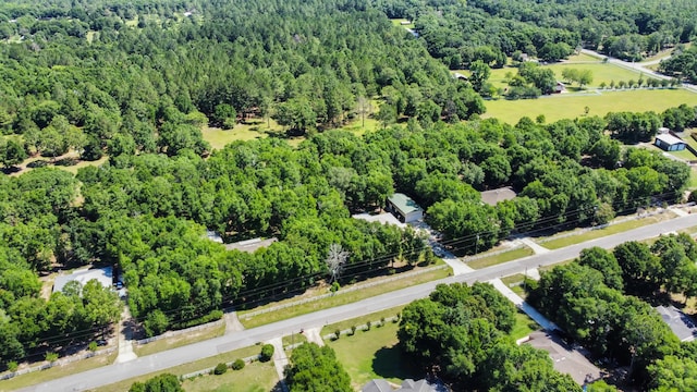 1184 Blackberry Cir, Baker, FL 32531 - drone / aerial view of a forest