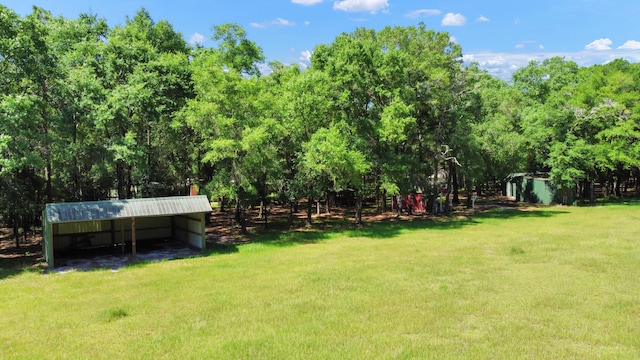 1184 Blackberry Cir, Baker, FL 32531 - view of grassy yard featuring a pole building and an outdoor structure