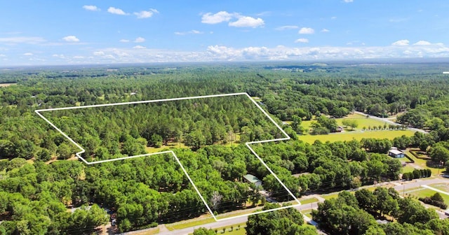 1184 Blackberry Cir, Baker, FL 32531 - view of property location with a heavily wooded area and property boundaries highlighted