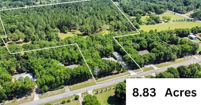 1184 Blackberry Cir, Baker, FL 32531 - aerial view of property's location with a heavily wooded area and property boundaries highlighted
