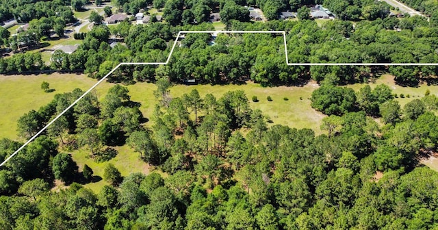 1184 Blackberry Cir, Baker, FL 32531 - aerial view of property's location featuring property parcel outlined