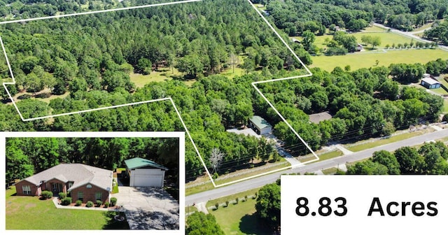 1184 Blackberry Cir, Baker, FL 32531 - view of property location with a heavily wooded area and property parcel outlined