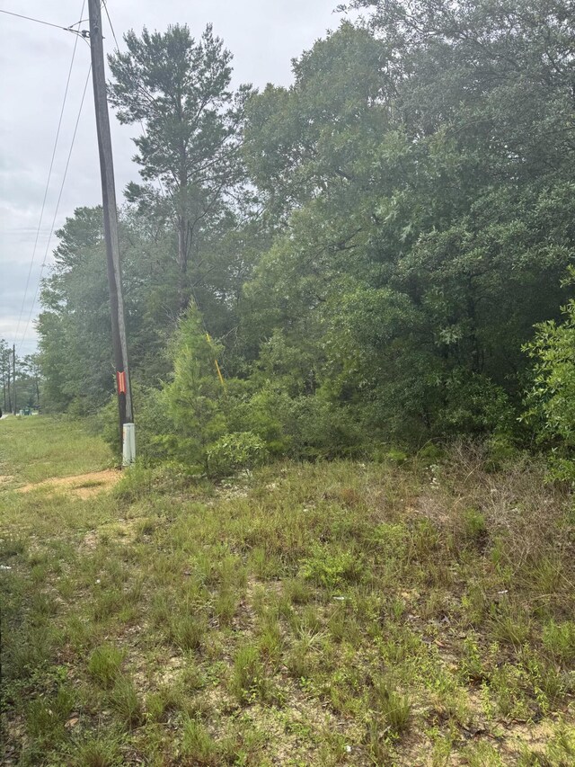 0 Bear Head Rd, Crestview, FL 32539