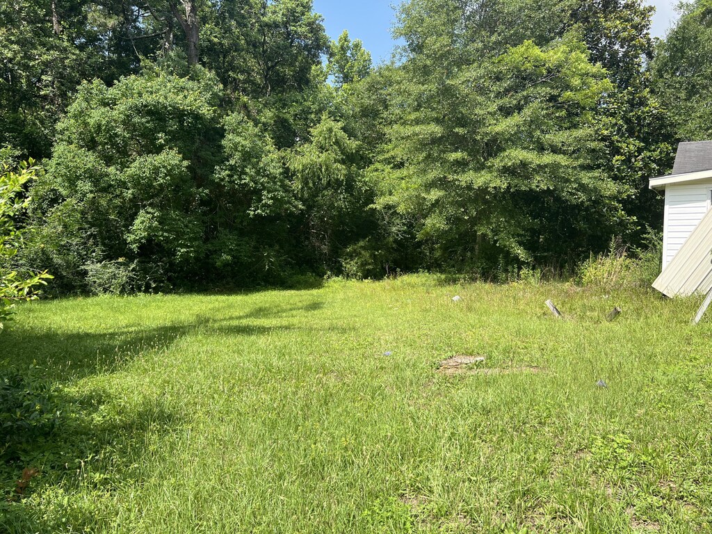430 Dorsey Ave, Defuniak Springs, FL 32435