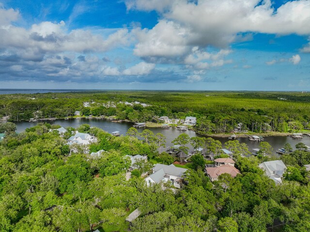 430 Botany Blvd, Santa Rosa Beach, FL 32459 - photo 105