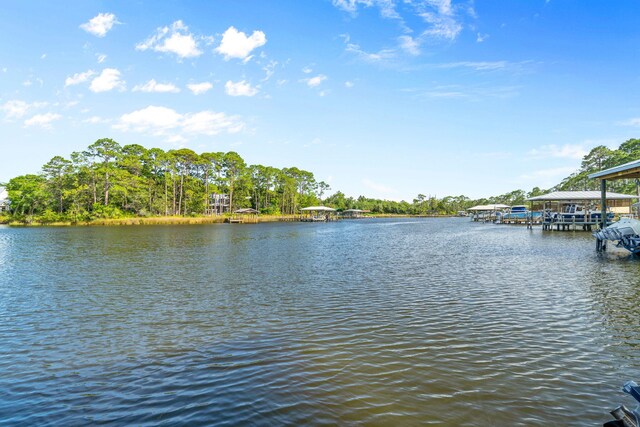 430 Botany Blvd, Santa Rosa Beach, FL 32459 - photo 100