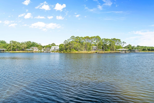 430 Botany Blvd, Santa Rosa Beach, FL 32459 - photo 101