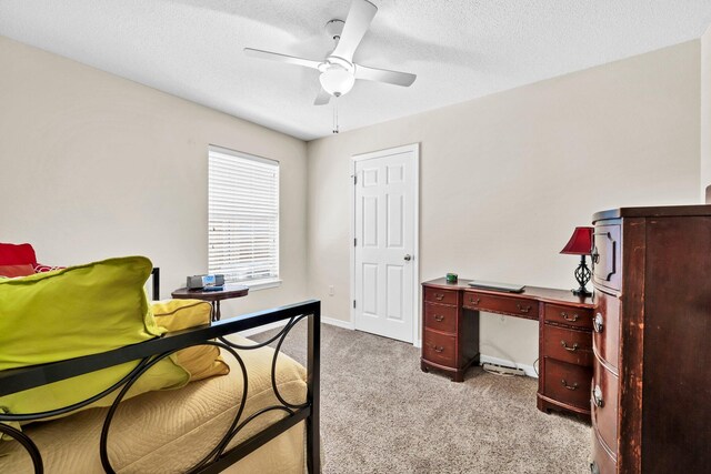 174 Bayou Landing Rd, Santa Rosa Beach, FL 32459 - photo 19