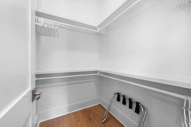 250 Beach Bike Way, Inlet Beach, FL 32461 - walk in closet featuring wood finished floors