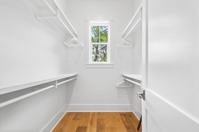 250 Beach Bike Way, Inlet Beach, FL 32461 - spacious closet with light wood-type flooring